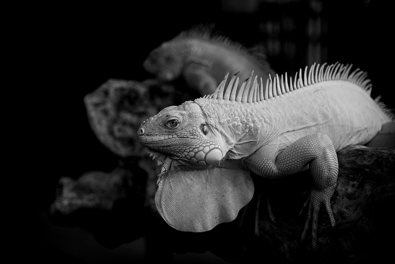 VIO脱毛の剃り残しについて知恵袋での質問は？