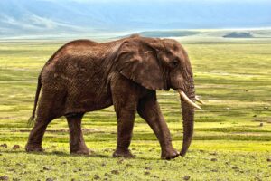 サロンの医療脱毛予約の取りやすさを比較するポイントは？