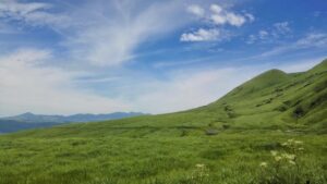 福岡で医療脱毛サロンが多いエリアはどこですか？