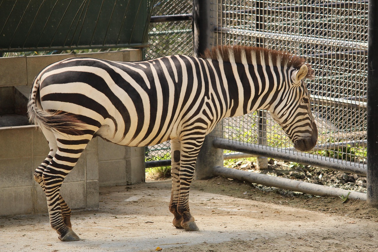 福岡の医療脱毛サロンの通いやすさを比較するとどうなる？