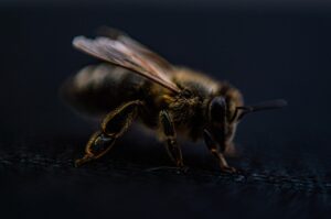 サロン脱毛終了後にまた通い始めた人の体験談は？